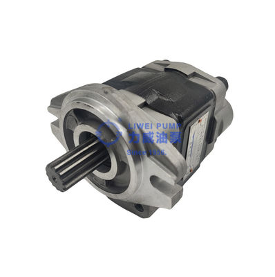منذ عام 1956 Hewei Brand Forklift Parts مضخة هيدروليكية 91E71-10200 69101-FK281